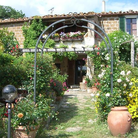 Le Querciolaie Monte Cavallo - Upper Apartment ساتورنيا المظهر الخارجي الصورة