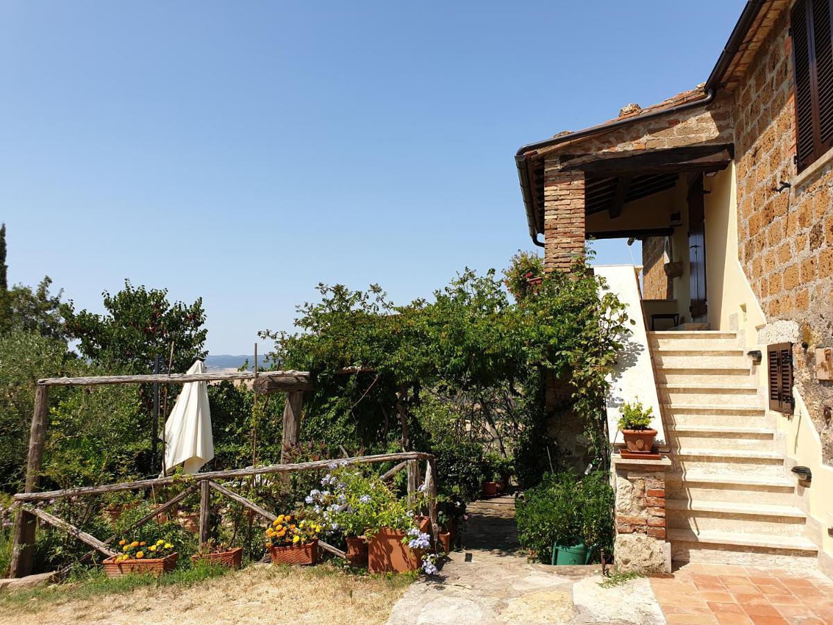 Le Querciolaie Monte Cavallo - Upper Apartment ساتورنيا المظهر الخارجي الصورة